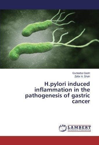 H.pylori induced inflammation in the pathogenesis of gastric cancer