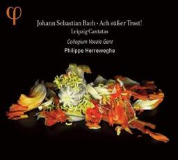 Bach: Leipziger Kantaten BWV 25/138/105/46