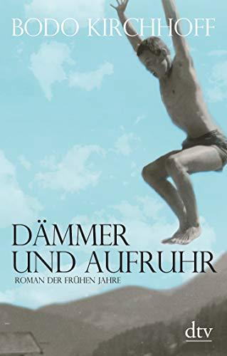 Dämmer und Aufruhr: Roman der frühen Jahre