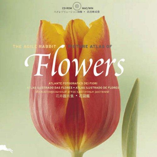 Flowers (engl. Cover) (Agile Rabbit Editions)