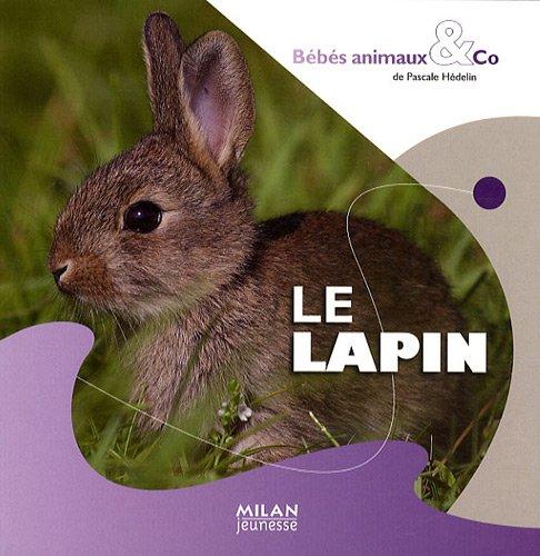 Le lapin