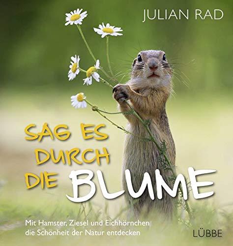 Sag es durch die Blume: Mit Hamster, Ziesel und Eichhörnchen die Schönheit der Natur entdecken