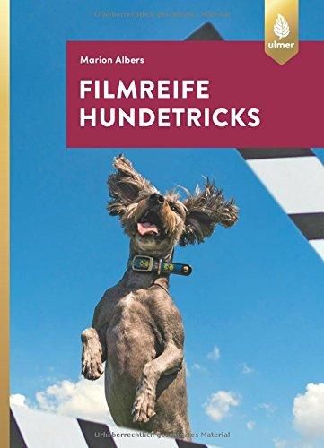 Filmreife Hundetricks: Tricktraining – nicht nur für angehende Filmhunde