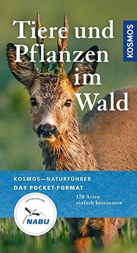 Tiere und Pflanzen im Wälder: 120 Arten einfach bestimmen (Kosmos-Naturführer Basics)