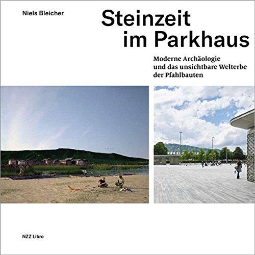 Steinzeit im Parkhaus: Moderne Archäologie und das unsichtbare Welterbe der Pfahlbauten