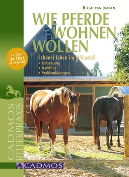 Wie Pferde wohnen wollen: Schöner leben im Offenstall