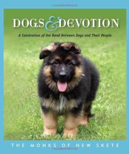 Dogs & Devotion