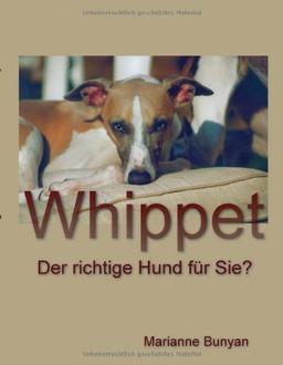 Whippet: Der richtige Hund für Sie ?