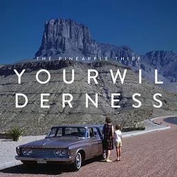 Your Wilderness [Vinyl LP]