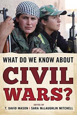 What Do We Know about Civil Wars?