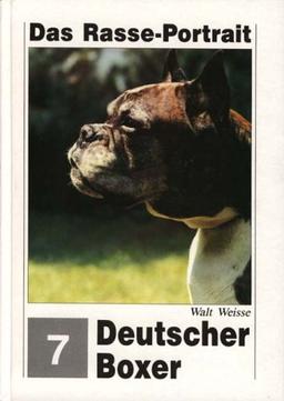 Deutscher Boxer