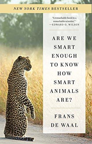 Are We Smart Enough How Smart Animals Are?