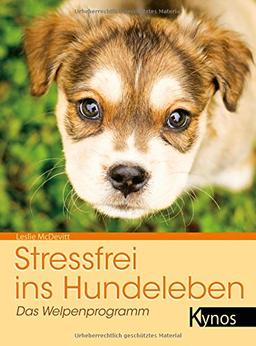 Stressfrei ins Hundeleben: Das Welpenprogramm