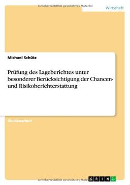 Prüfung des Lageberichtes unter besonderer Berücksichtigung der Chancen- und Risikoberichterstattung