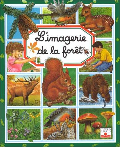 L'imagerie de la forêt