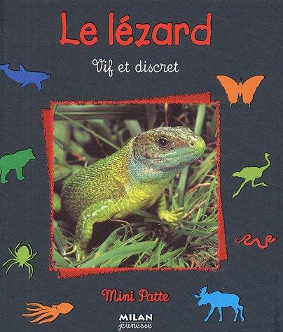 Le lézard : vif et discret