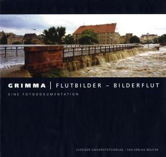 Grimma. Flutbilder - Bilderflut. Eine Fotodokumentation