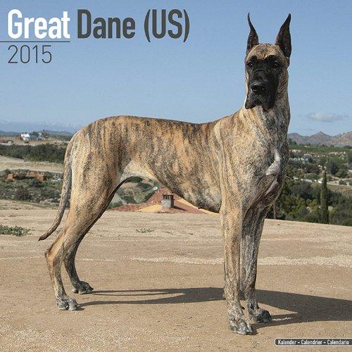 Great Dane (US) 2015