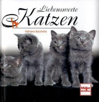 Liebenswerte Katzen (Geschenkbücher)