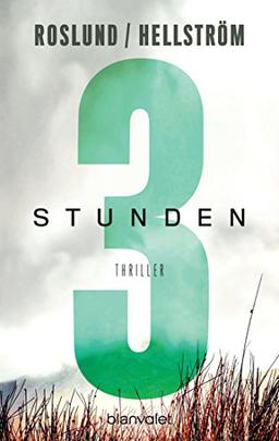 Drei Stunden: Thriller (Piet Hoffmann, Band 3)