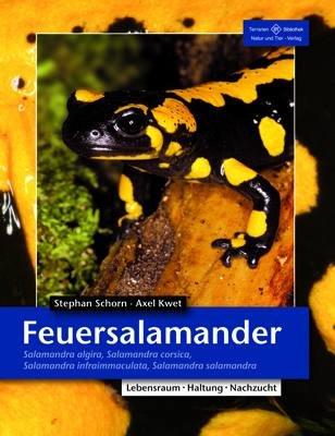 Feuersalamander: Salamandra algira, Salamandra corsica, Salamandra infraimmaculata, Salamandra salamandra