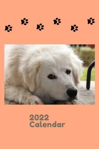 2022 Weekly Calendar - Maremma Sheepdog Peach (Maremmano-Abruzzese Sheepdog): A Calendar To Help You Keep Track Of Your Daily Tasks