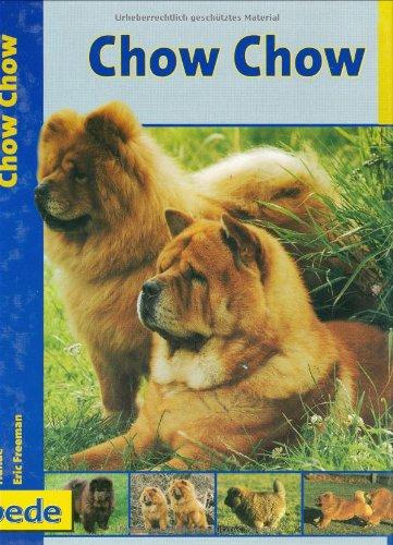 Chow Chow, Praxisratgeber