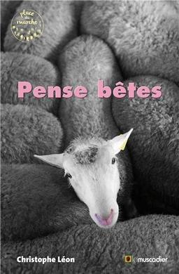 Penses bêtes