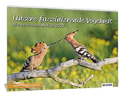 Unsere faszinierende Vogelwelt (Wandkalender 2023 DIN A3 quer) - Tierkalender / Vogelkalender: Heimische Vögel als Wandkalender 2023: Hochwertiger Kalender mit den schönsten Aufnahmen heimischer Vögel