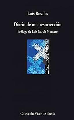 Diario de una resurrección (Visor de Poesía, Band 744)