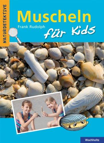 Muscheln für Kids