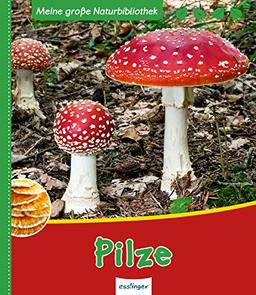 Meine große Naturbibliothek: Pilze