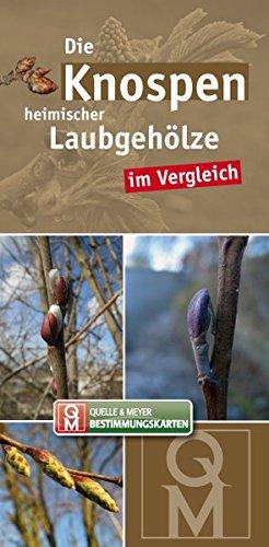 Die Knospen heimischer Laubgehölze im Vergleich (Quelle & Meyer Bestimmungskarten)