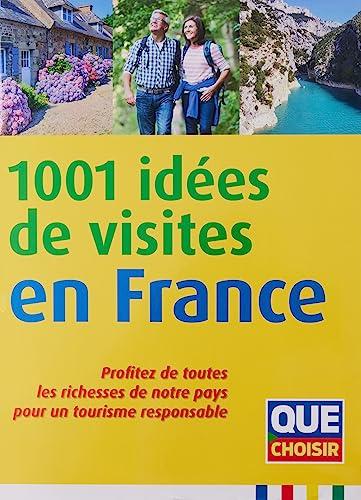 1.001 idées de visites en France : profitez de toutes les richesses de notre pays pour un tourisme responsable