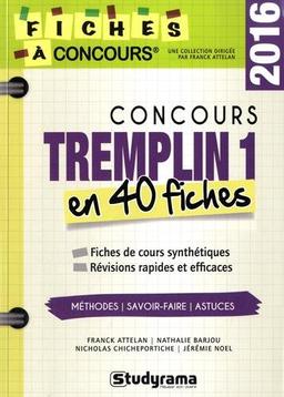 Concours Tremplin 1 : 40 fiches méthodes, savoir-faire et astuces