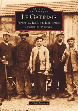 Le Gâtinais : Beaune-la-Rolande, Bellegarde, Corbeilles, Puiseaux