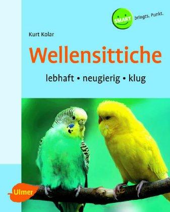 Wellensittiche: Lebhaft, neugierig, klug