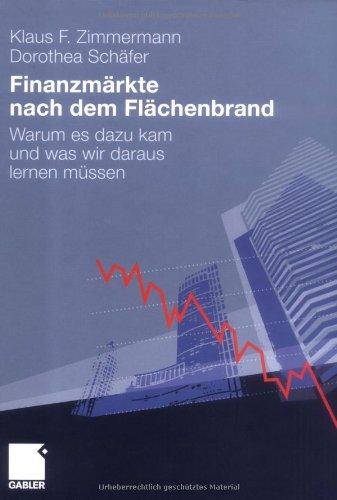 Finanzmärkte nach dem Flächenbrand: Warum es dazu kam und was wir daraus lernen müssen