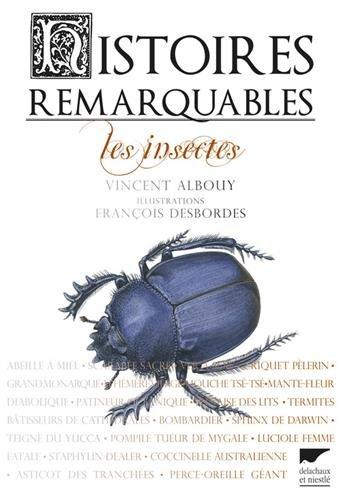 Histoires remarquables : les insectes