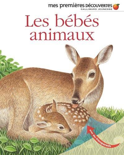 Les bébés animaux