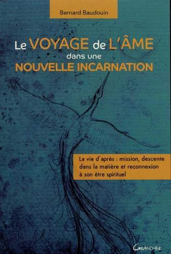 Le voyage de l'âme dans une nouvelle incarnation : la vie d'après : mission, descente dans la matière et reconnexion à son être spirituel