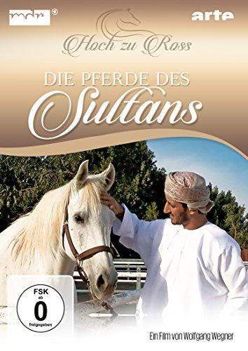 Die Pferde des Sultans - Hoch zu Ross