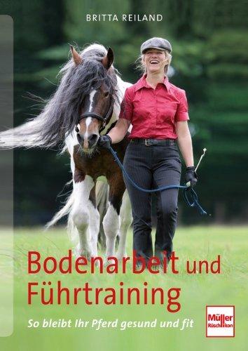 Bodenarbeit und Führtraining: So bleibt ihr Pferd gesund und fit