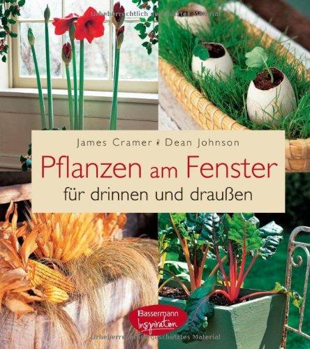 Pflanzen am Fenster: für drinnen und draußen