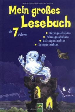 Mein großes Lesebuch: Hexengeschichten, Polizeigeschichten, Ballettgeschichten, Spukgeschichten