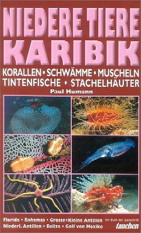 Niedere Tiere Karibik: Korallen, Schwämme, Krebse, Muscheln, Tintenfische, Stachelhäuter. Florida, Bahamas, Grosse und Kleine Antillen, Niederl. Antillen, Belize, Golf von Mexiko