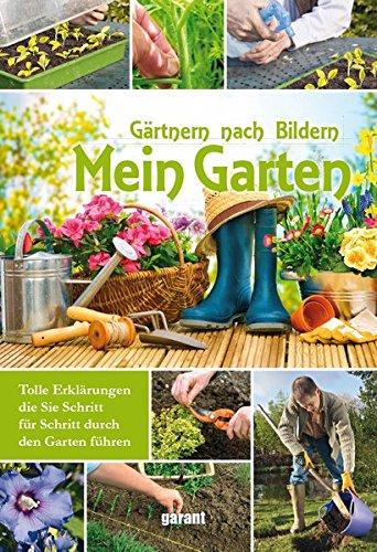 Mein Garten