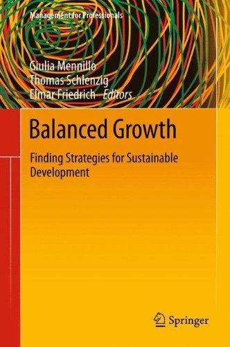 Balanced Growth: Finding Strategies for Sustainable Development (Management for Professionals)