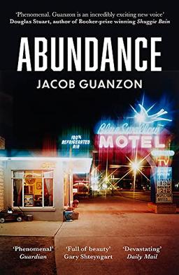 Abundance: Unputdownable and heartbreaking coming-of-age fiction about fathers and sons