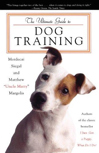 The Ultimate Guide to Dog Training